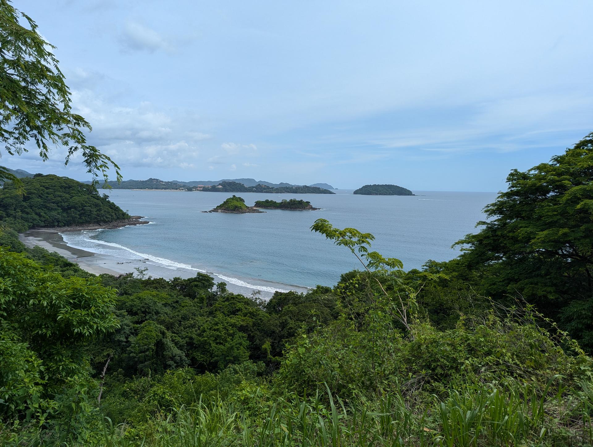 Jungle coastline